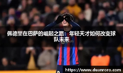 bsports官网入口